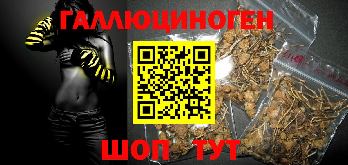Псилоцибиновые грибы Magic Shrooms  закладки  Архангельск  Вход с VPN 